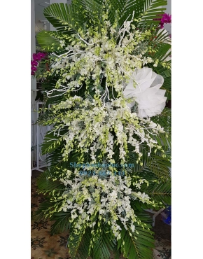 Hoa viếng 4111