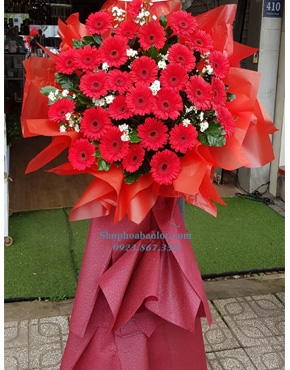 Hoa Chúc Mừng 3071
