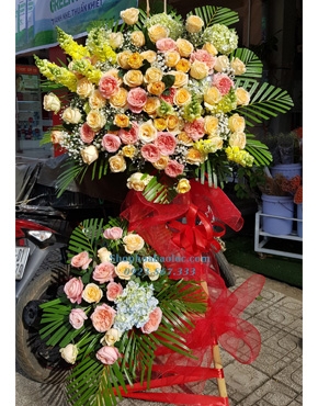 Hoa Chúc Mừng 3072