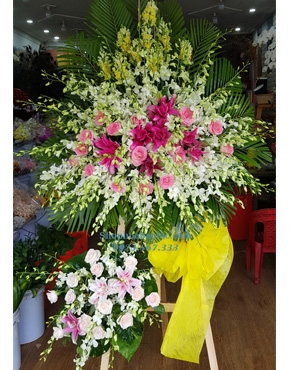 Hoa Chúc Mừng 3073