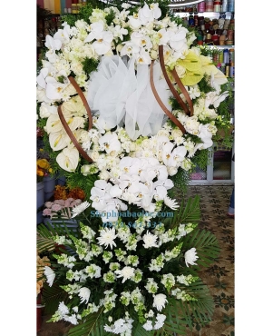 Hoa Viếng 4044