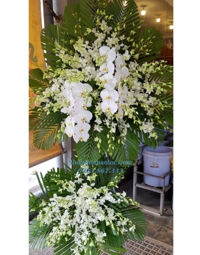 Hoa Viếng 4058