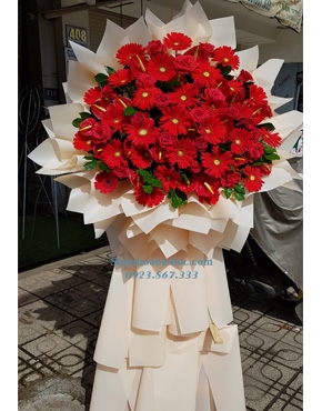 Hoa Chúc Mừng 3064