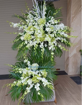 Hoa Viếng 4062