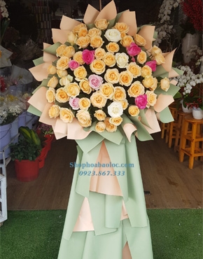 Hoa Chúc Mừng 3067