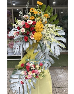 Hoa Chúc Mừng 3038