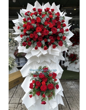 Hoa Chúc Mừng 3058