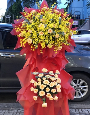 Hoa Chúc Mừng 3057