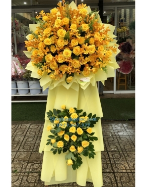 Hoa Chúc Mừng 3047