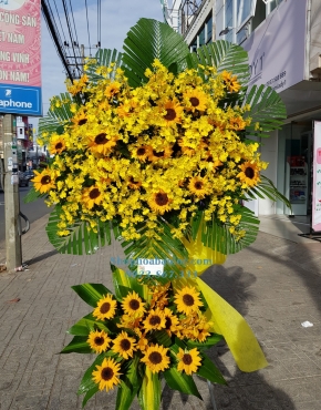Hoa Chúc Mừng 3001