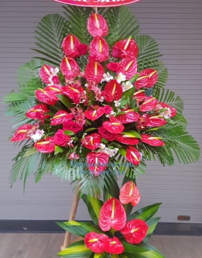 Hoa Chúc Mừng 3008