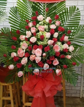 Hoa Chúc Mừng 3009