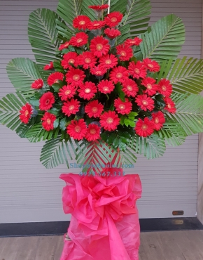 Hoa Chúc Mừng 3013
