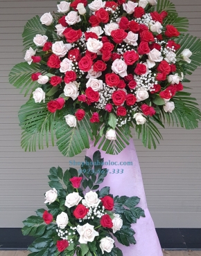 Hoa Chúc Mừng 3015