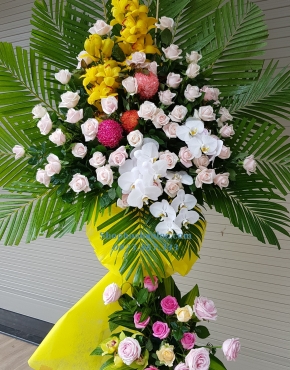 Hoa Chúc Mừng 3018