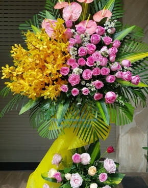 Hoa Chúc Mừng 3019