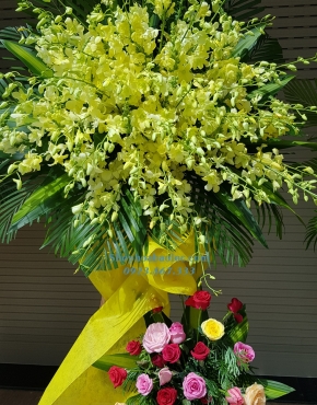 Hoa Chúc Mừng 3021