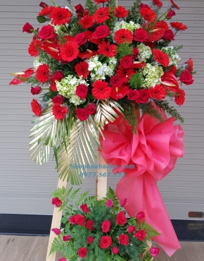 Hoa Chúc Mừng 3022