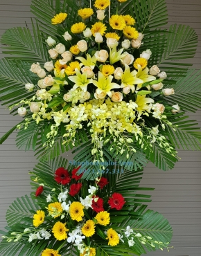 Hoa Chúc Mừng 3025