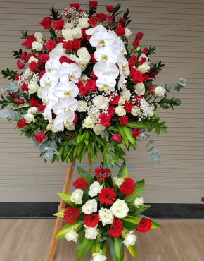 Hoa Chúc Mừng 3026