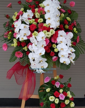 Hoa Chúc Mừng 3028