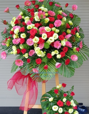 Hoa Chúc Mừng 3029