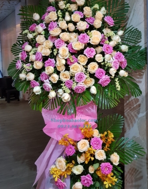 Hoa Chúc Mừng 3031