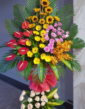 Hoa Chúc Mừng 3032
