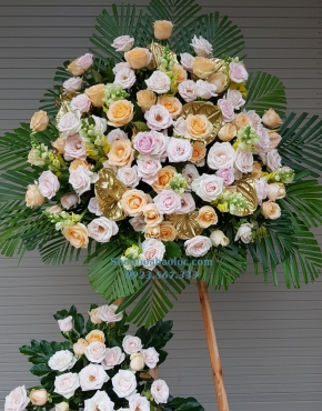 Hoa Chúc Mừng 3033