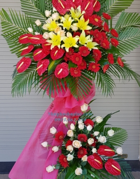 Hoa Chúc Mừng 3037