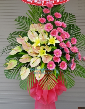 Hoa Chúc Mừng 3039
