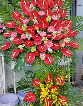 Hoa Chúc Mừng 3048