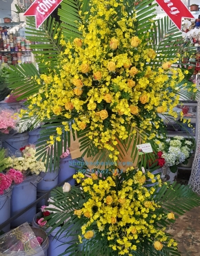 Hoa Chúc Mừng 3051