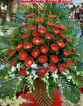 Hoa Chúc Mừng 3053