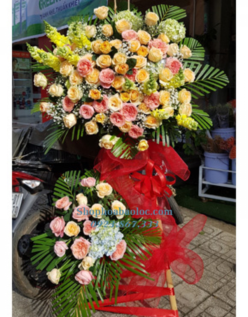 Hoa Chúc Mừng 3072