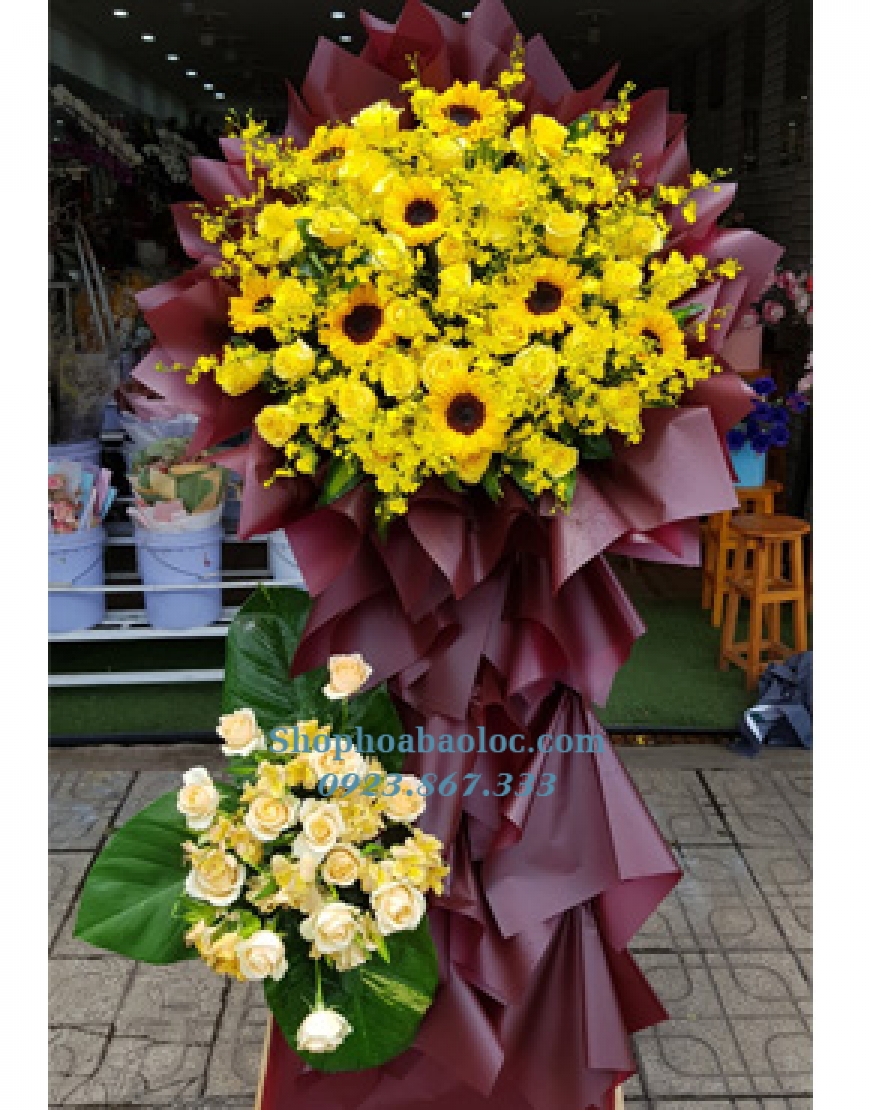 Hoa Chúc Mừng 3062