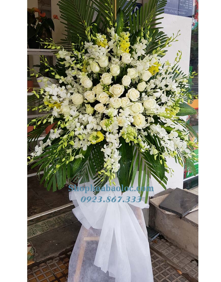Hoa Viếng 4050