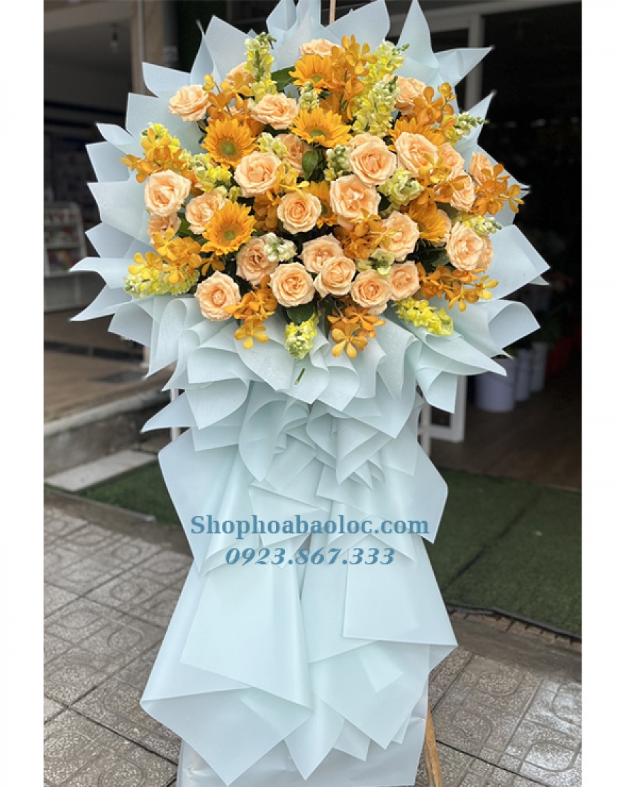 Hoa Chúc Mừng 3035