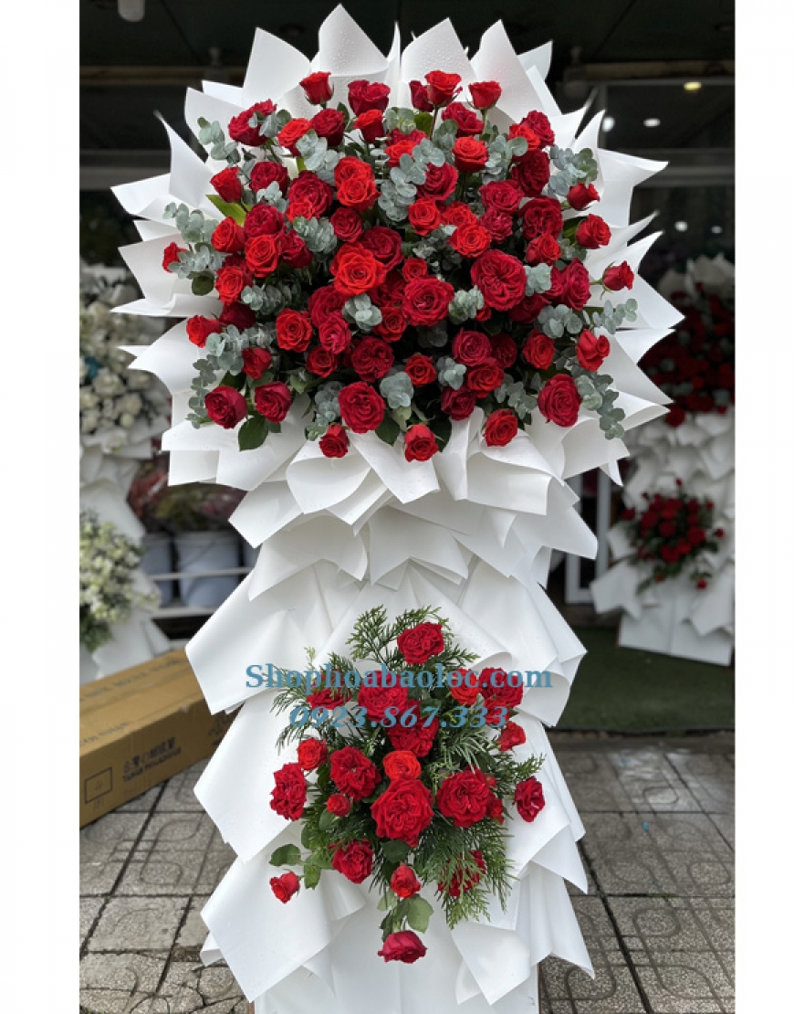 Hoa Chúc Mừng 3058