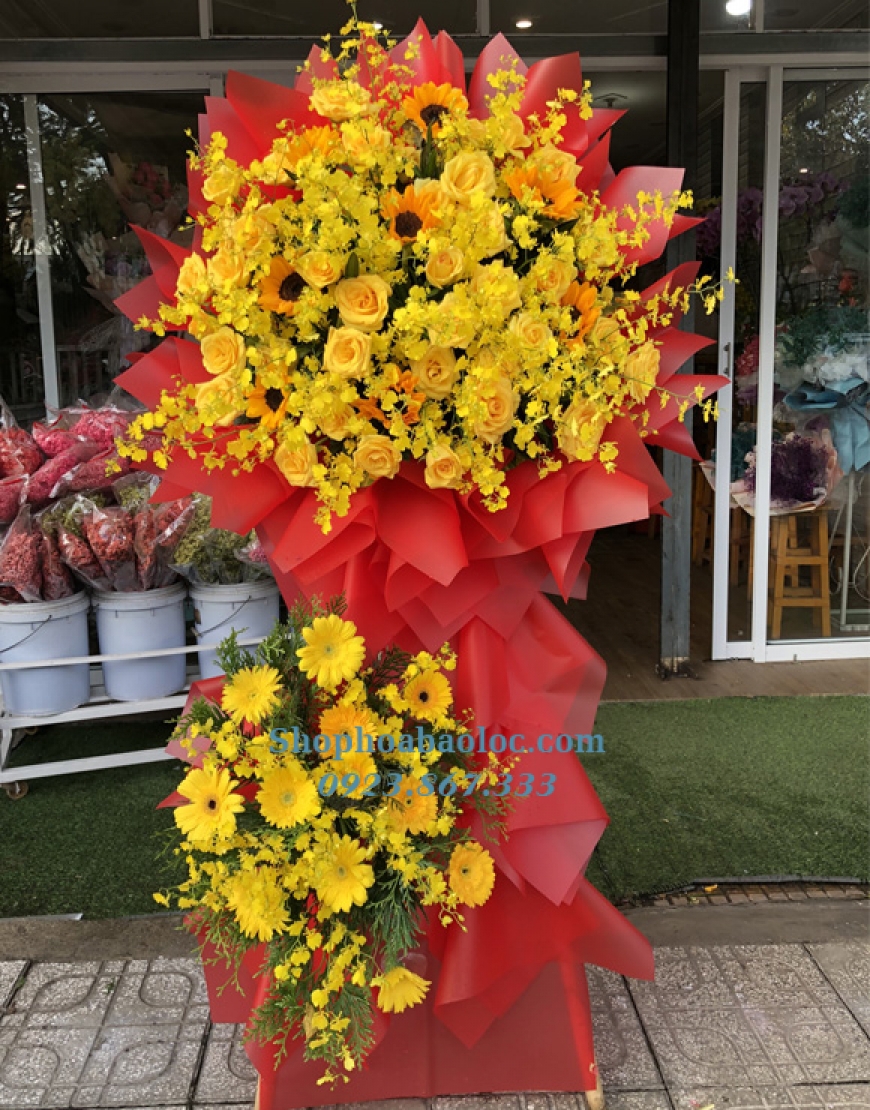 Hoa Chúc Mừng 3043