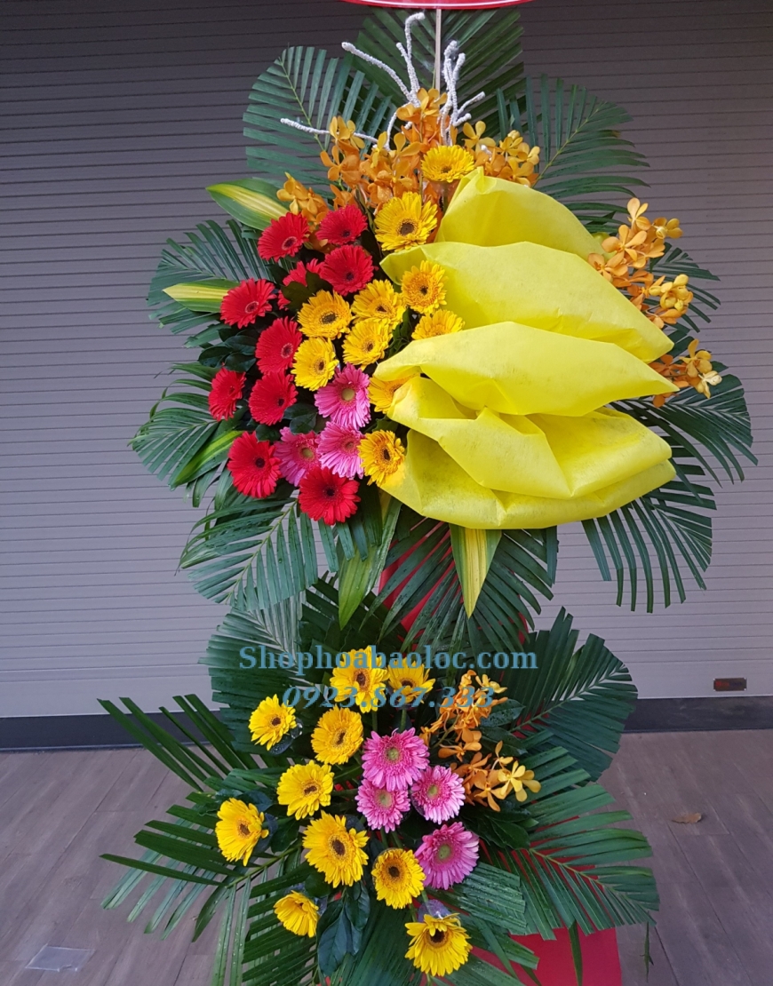Hoa Chúc Mừng 3003