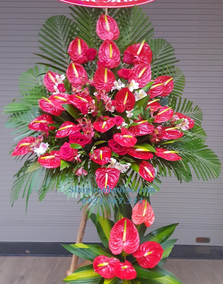 Hoa Chúc Mừng 3008