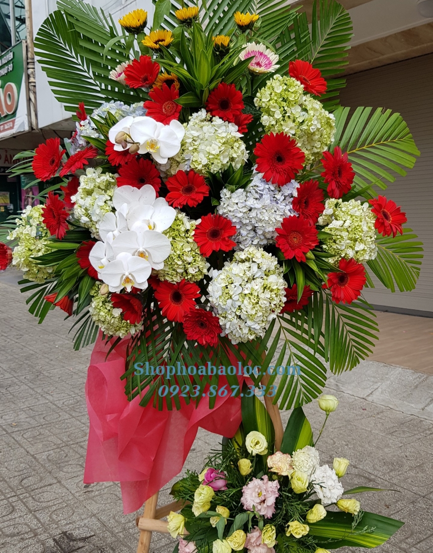 Hoa Chúc Mừng 3017