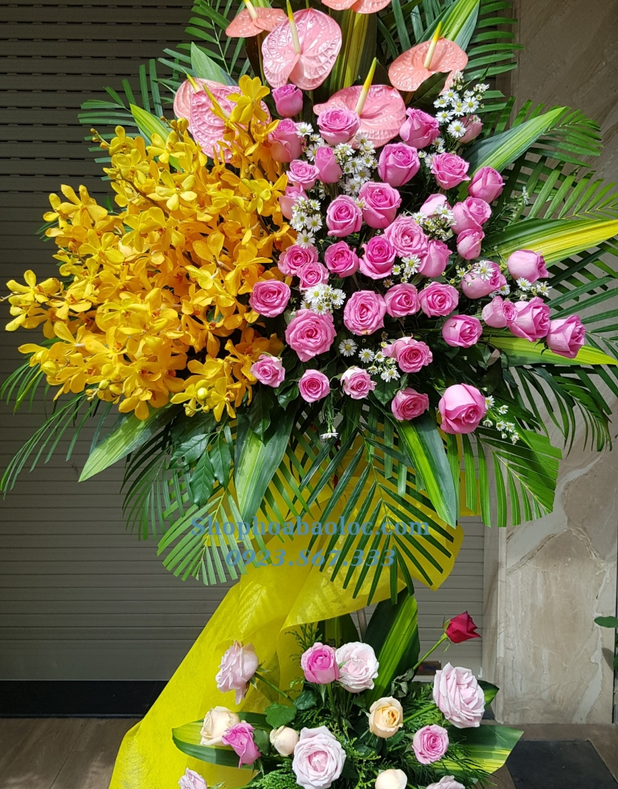 Hoa Chúc Mừng 3019