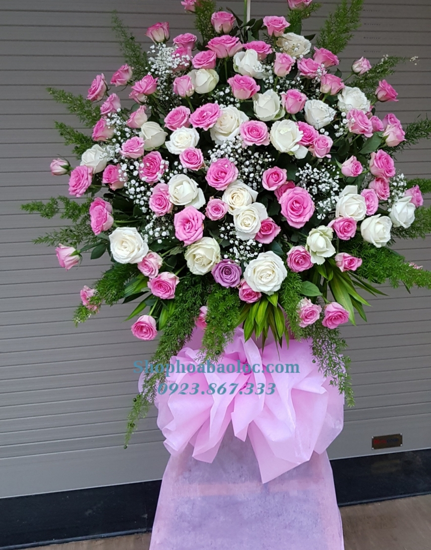 Hoa Chúc Mừng 3024