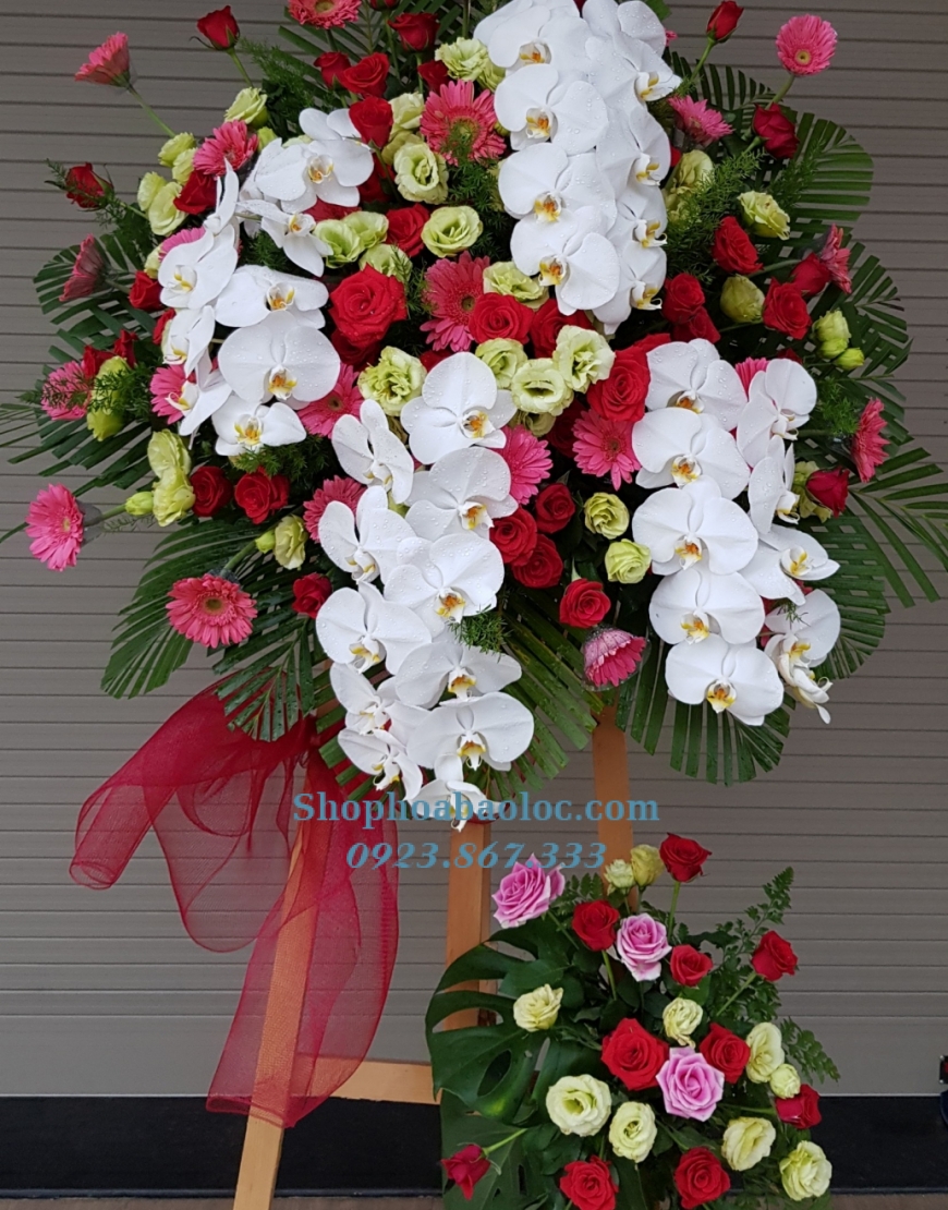 Hoa Chúc Mừng 3028