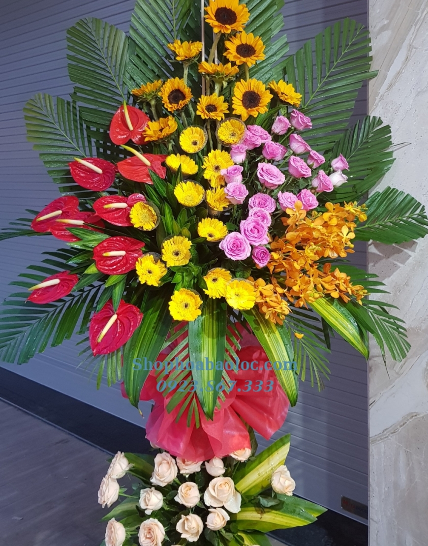 Hoa Chúc Mừng 3032