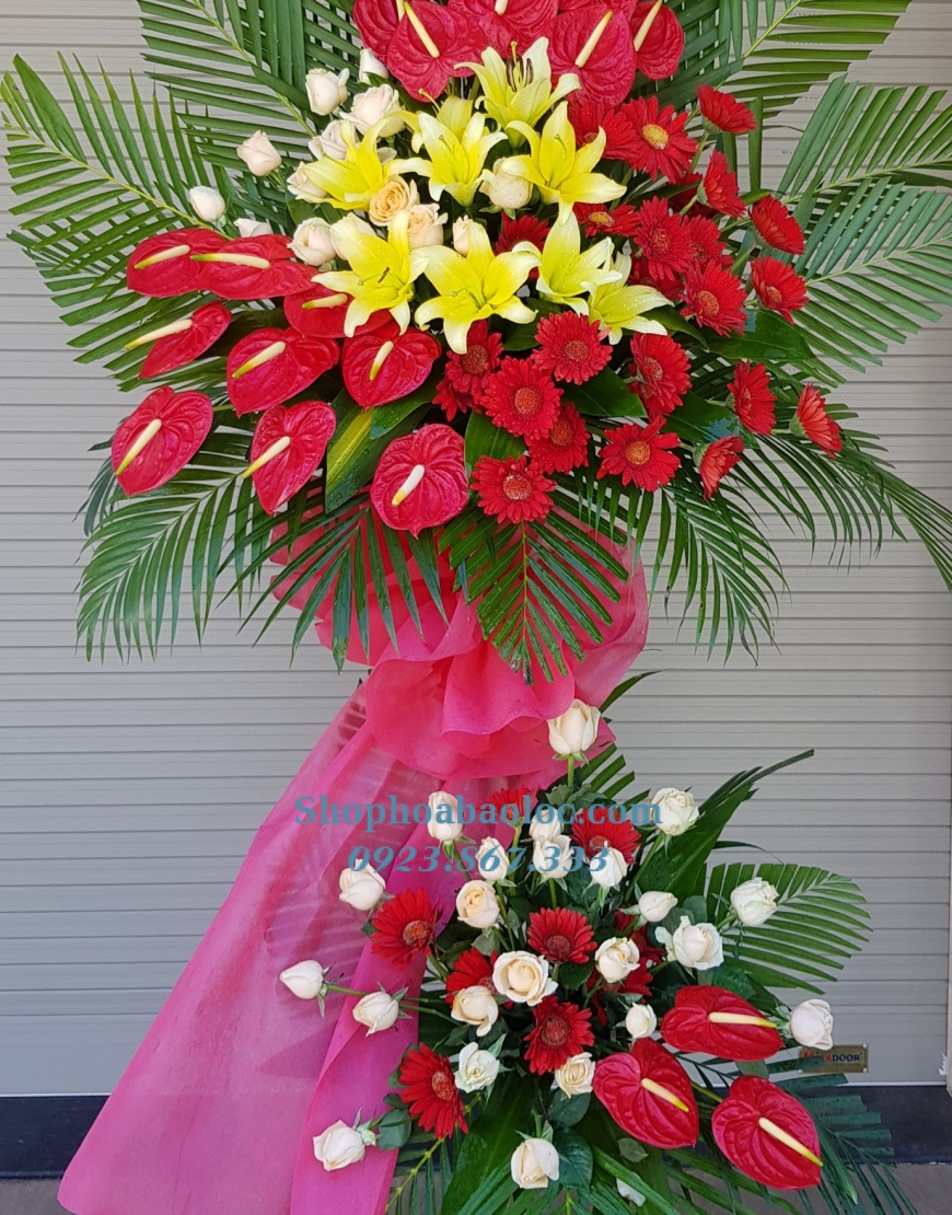 Hoa Chúc Mừng 3037