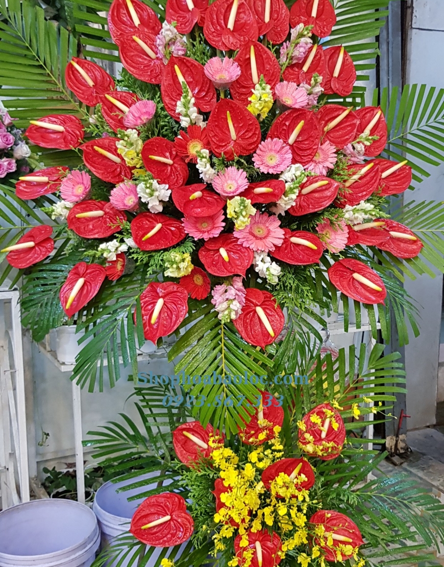 Hoa Chúc Mừng 3048