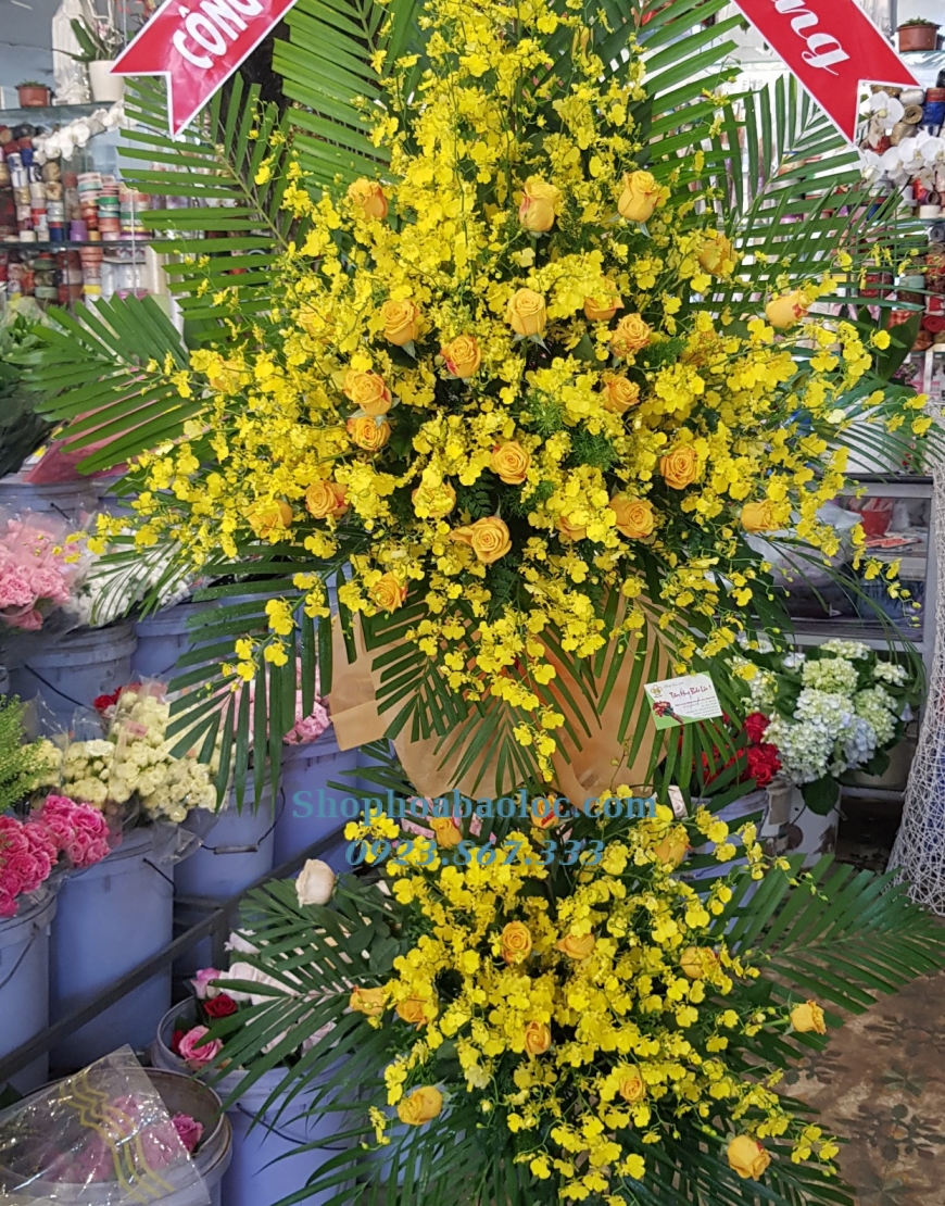 Hoa Chúc Mừng 3051